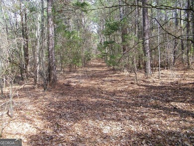 Lot 11 - Magnificent 4.88 acre lot with over 240 feet of road - photo 4