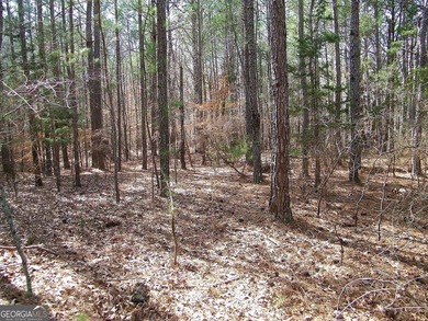 Lot 11 - Magnificent 4.88 acre lot with over 240 feet of road - photo 5