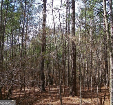 Lot 11 - Magnificent 4.88 acre lot with over 240 feet of road - photo 6