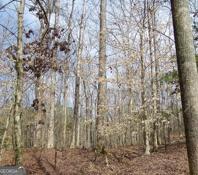 Lot 11 - Magnificent 4.88 acre lot with over 240 feet of road - photo 7