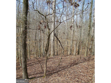 Lot 11 - Magnificent 4.88 acre lot with over 240 feet of road - photo 8