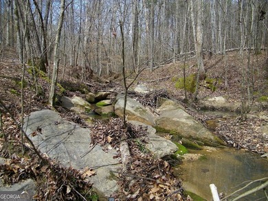 Lot 11 - Magnificent 4.88 acre lot with over 240 feet of road - photo 9