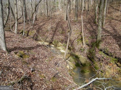 Lot 11 - Magnificent 4.88 acre lot with over 240 feet of road - photo 10