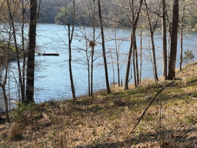 Outstanding Lakefront Building Lot on Lake Malone! - photo 3