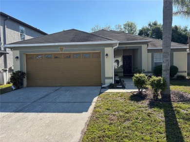 Lake Home For Sale in Wesley Chapel, Florida
