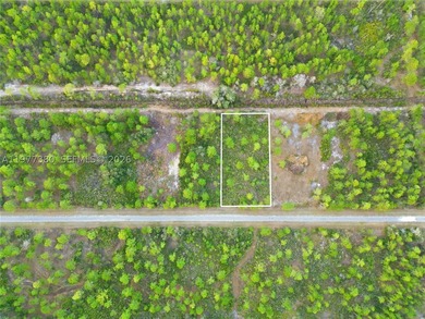 Lake Weohyakapka Lot For Sale in Lake Wales Florida