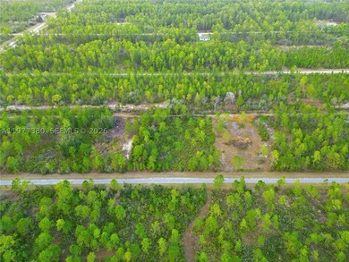 Build your dream home on this spacious 0.50-acre vacant lot - photo 2