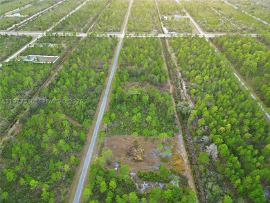 Build your dream home on this spacious 0.50-acre vacant lot - photo 3