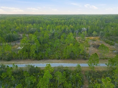Build your dream home on this spacious 0.50-acre vacant lot - photo 4