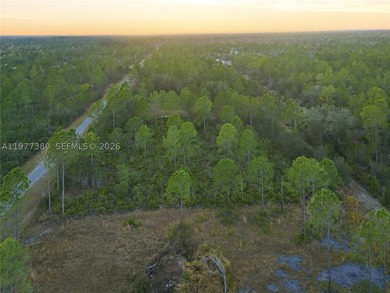 Build your dream home on this spacious 0.50-acre vacant lot - photo 5