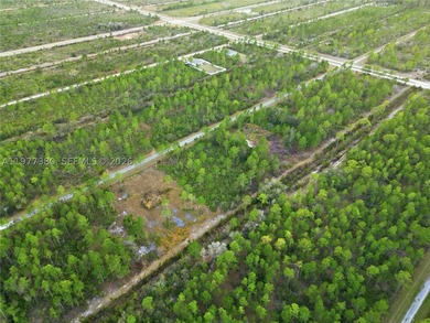 Build your dream home on this spacious 0.50-acre vacant lot - photo 8