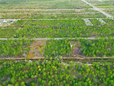 Build your dream home on this spacious 0.50-acre vacant lot - photo 9