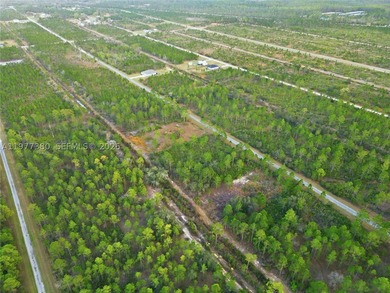 Build your dream home on this spacious 0.50-acre vacant lot - photo 10