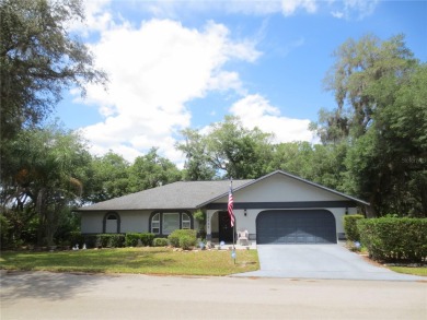 (private lake, pond, creek) Home For Sale in Ocklawaha Florida