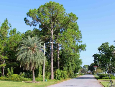 **Build Your Dream Waterfront Retreat!** Discover a rare - photo 3