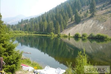 (private lake, pond, creek) Acreage For Sale in Shoup Idaho
