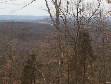 (private lake, pond, creek) Acreage For Sale in Park Hills Missouri