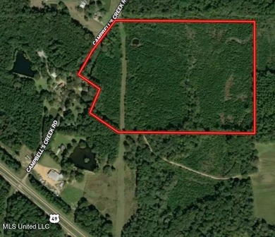 Located in the heart of Simpson County, this 53.2-acre spread is - photo 2