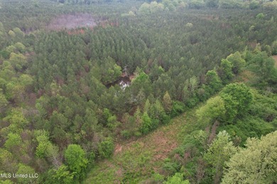 Located in the heart of Simpson County, this 53.2-acre spread is - photo 4