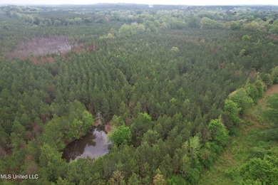 Located in the heart of Simpson County, this 53.2-acre spread is - photo 5