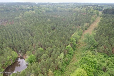 Located in the heart of Simpson County, this 53.2-acre spread is - photo 6