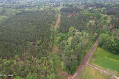 Located in the heart of Simpson County, this 53.2-acre spread is - photo 7
