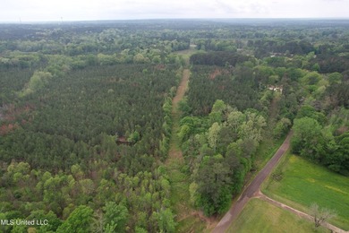 Located in the heart of Simpson County, this 53.2-acre spread is - photo 8