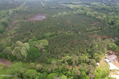 Located in the heart of Simpson County, this 53.2-acre spread is - photo 9
