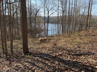 Outstanding Lakefront Building Lot on Lake Malone! - photo 4