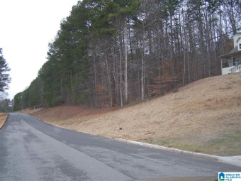 Little Warrior River Lot For Sale in Oneonta Alabama