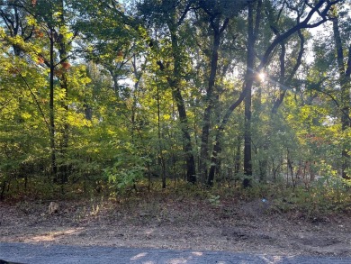 Lake Lot For Sale in Trinidad, Texas