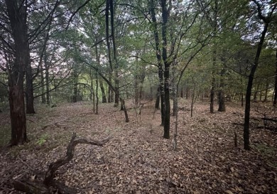 Lake Texoma Lot For Sale in Gordonville Texas