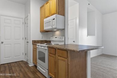This condos excellent location is only the first of many - photo 14