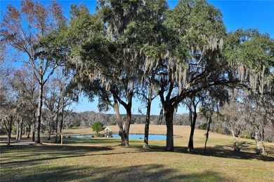 Located along HWY 225 in one of the most desirable equestrian - photo 39