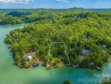 Lake Lure is back and here's your chance to own it's best - photo 1