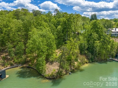 Lake Lure is back and here's your chance to own it's best - photo 2