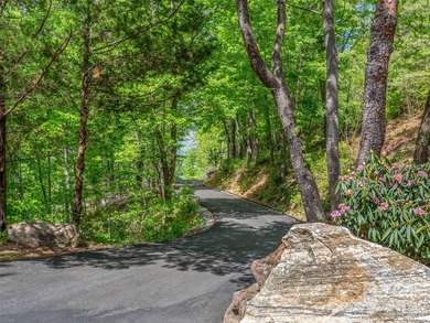 Lake Lure is back and here's your chance to own it's best - photo 3