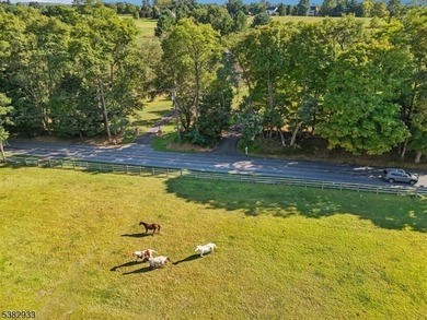 Owner FINANCING MAY BE CONSIDERED! Escape the hustle and bustle - photo 43