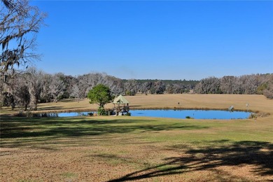 Located along HWY 225 in one of the most desirable equestrian - photo 43