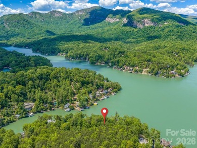 Lake Lure is back and here's your chance to own it's best - photo 4