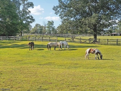 Owner FINANCING MAY BE CONSIDERED! Escape the hustle and bustle - photo 44