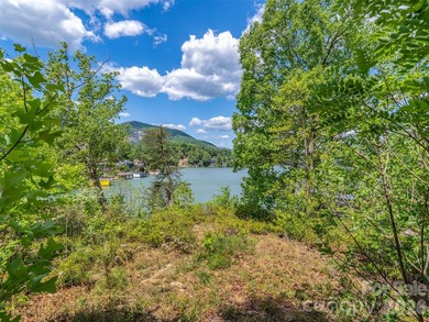 Lake Lure is back and here's your chance to own it's best - photo 5