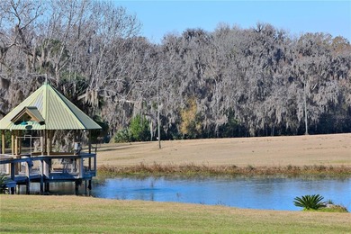 Located along HWY 225 in one of the most desirable equestrian - photo 45