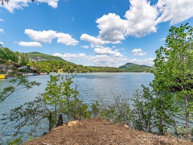 Lake Lure is back and here's your chance to own it's best - photo 7