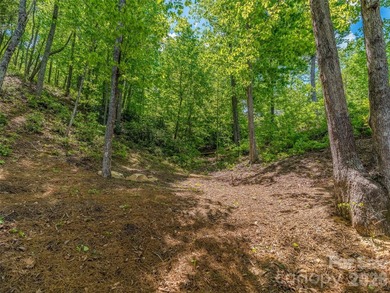 Lake Lure is back and here's your chance to own it's best - photo 8