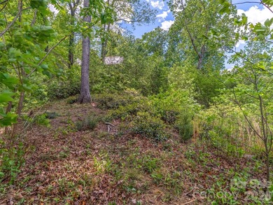 Lake Lure is back and here's your chance to own it's best - photo 9