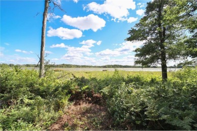 Lake Acreage For Sale in Brainerd, Minnesota