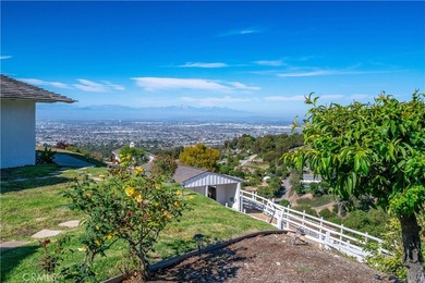 13 Buggy Whip Dr - photo 45