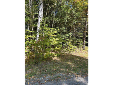 Step back into peace and beauty of the Maine woods with this 4 - photo 2
