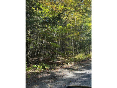 Step back into peace and beauty of the Maine woods with this 4 - photo 5